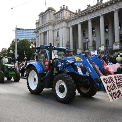 'When will insanity end': farmer fury over power play