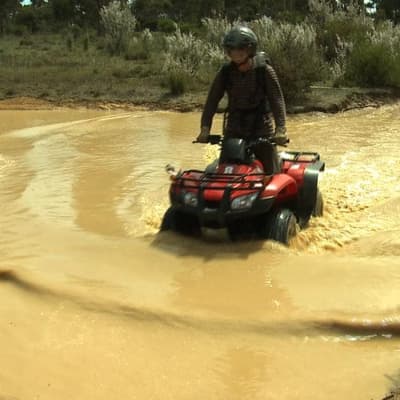 Quad bike standards saving lives as crackdown urged