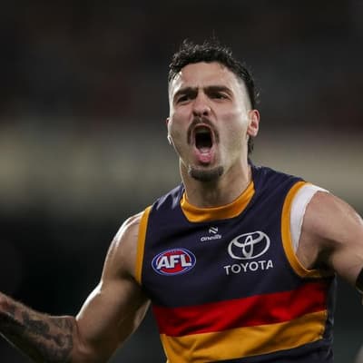 Fast-finishing Adelaide pip Hawthorn in AFL thriller