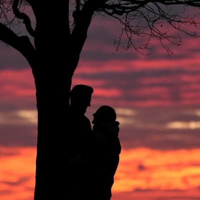 Howdy partner: dating app blooms new look B&S ball