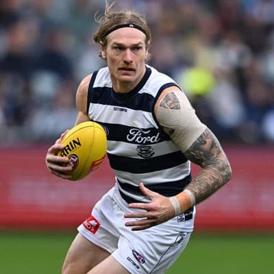 Cats coach weighs in on Stewart's awkward collision