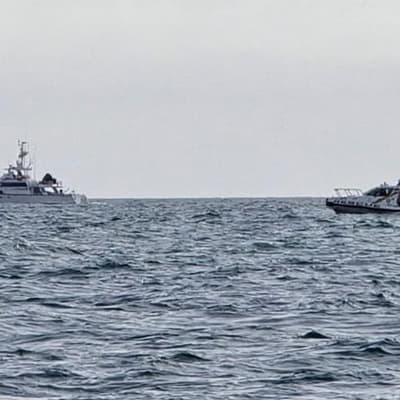 Married couple, dog missing as light plane disappears