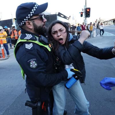 Activists arrested as students strike for Palestine