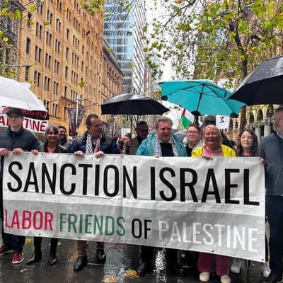 Pro-Palestine MP's 'authoritarian' Labor spray rejected