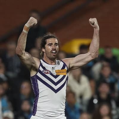 Soaring Dockers warned: 'Don't get caught in the hype'