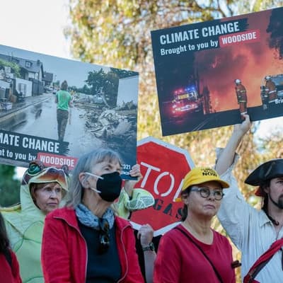 'Post and boast' laws 'threaten' free speech: activists