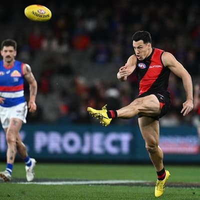 Essendon's Shiel banned one game in tribunal test case