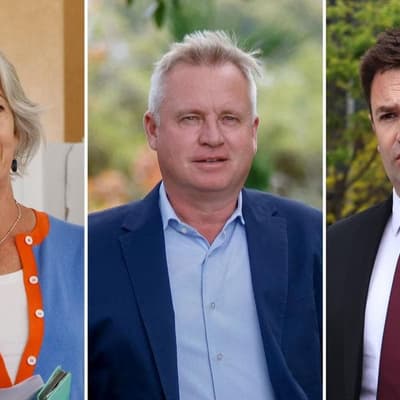 Greens won't prop up Labor government 'at this stage'