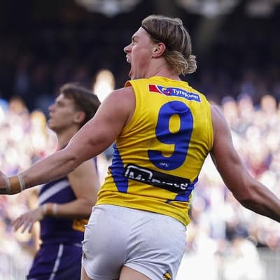 St Kilda coach slams 'half-baked stories' over trades