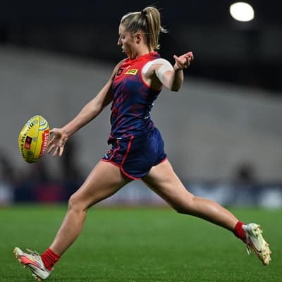 Star Demon hits top gear in dominant win over Bulldogs