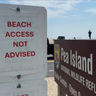 Hurricane Erin forecast to churn up dangerous swells