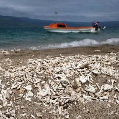 Pacific nations make passionate plea amid climate fears