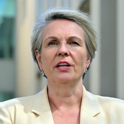 Plibersek's claim that Liberal plan would've cut paid parental leave misleads