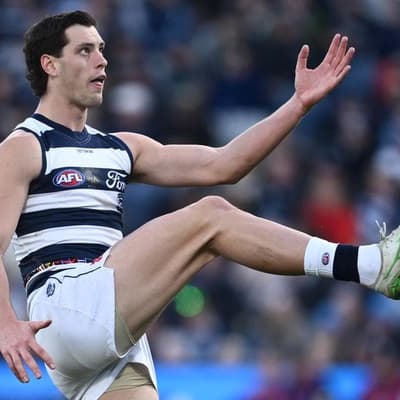 Cats coach 'doubly surprised' by tribunal call