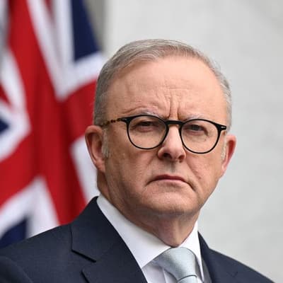 Supposed Trump attack on Albanese fails the Truth test again