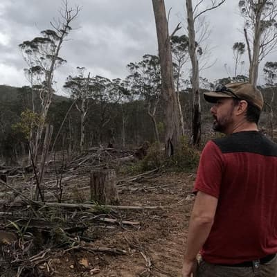 'Serial offender' charges prompt calls to end logging