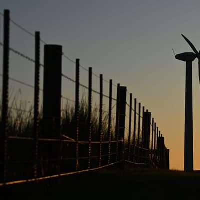 Wind farm fans 'death row' fears for endangered species