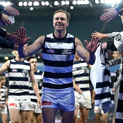 Veteran to retire when Cats' AFL finals campaign ends