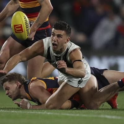 'We relish that': Daicos, Pies feeding off criticism