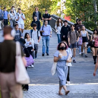 Unis think creatively to stamp out gendered violence