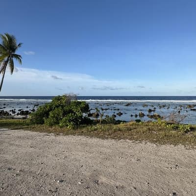 Hundreds of former immigration detainees to be deported