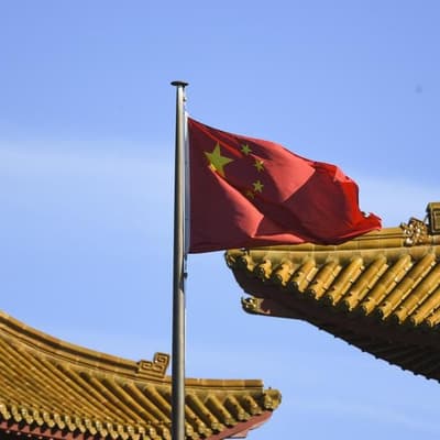 Alleged spy pleads not guilty, wins bid to hide name