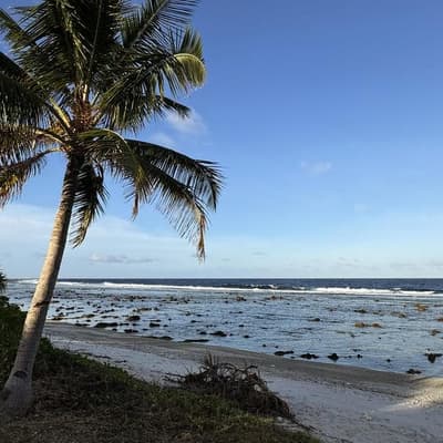 'Exploitation': Australia criticised over Nauru deal