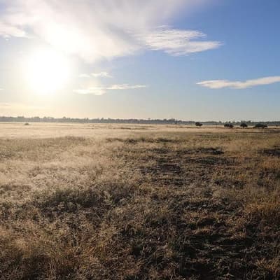 'Super emitter': borehole readings spark audit call