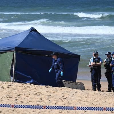 Beloved shark attack victim mourned as net trial paused