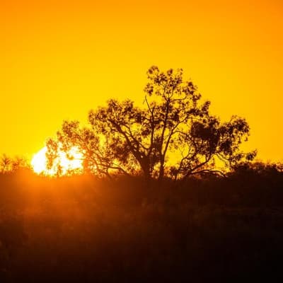 Tree-change trend slows but regions remain attractive