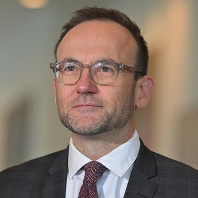 Former Greens leader reveals new role after politics