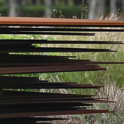 Step off the gas, Aussie green iron producers warned