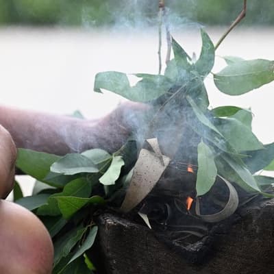 'Misinformation, lies': Australian-first treaty warning