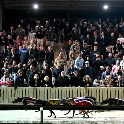 Dapto gone to the dogs as greyhound venue runs its race