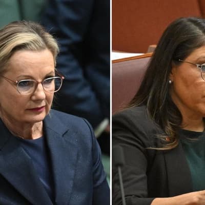 Senior Liberals back Ley after 'cauterising the wound'