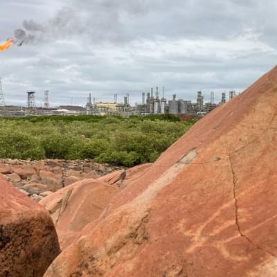 'Climate fail': huge gas project approval ignites fury