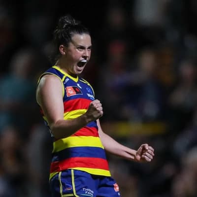Gould injury sours Crows' strong win over Hawks