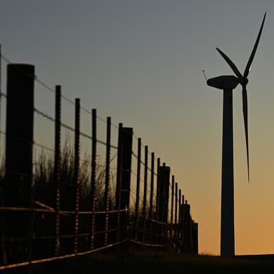 Plan to protect threatened species in energy transition