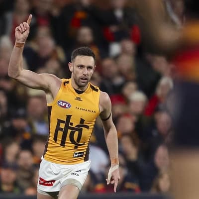 'Everyone's healthy': Hawks ready for Cats prelim final