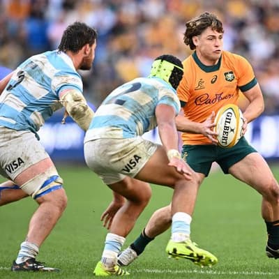 Wallabies star's epic voyage for Bledisloe Cup glory