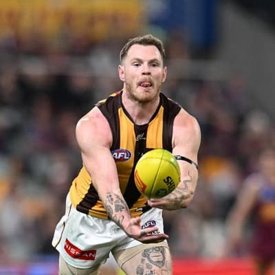 Blue-collar backline to balance the Hollywood Hawks