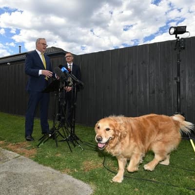 Anthony Albanese dodges power bill price drop guarantee