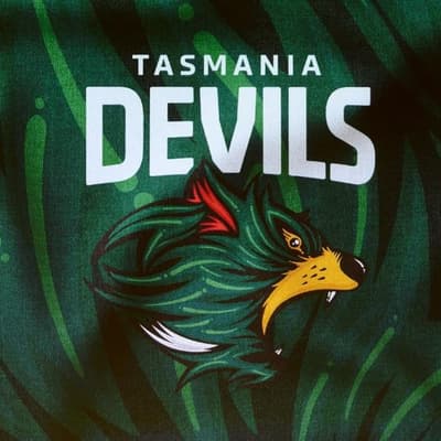 'Time of the essence': Devils respond to stadium report