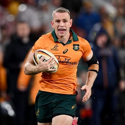 Wallabies look to insider knowledge in Bledisloe quest