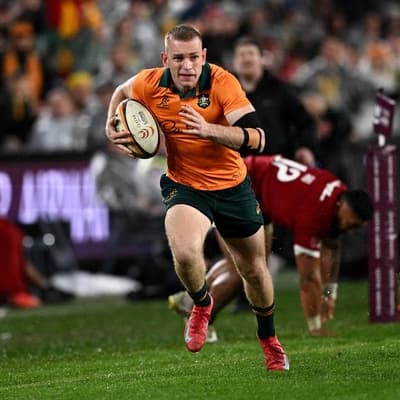 Wallabies suffer injury blow ahead of Bledisloe opener