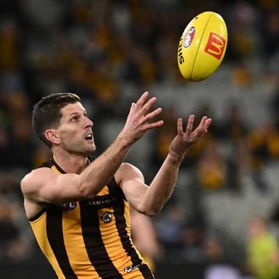 Hawk flag heroes join forces again in Richmond rebuild