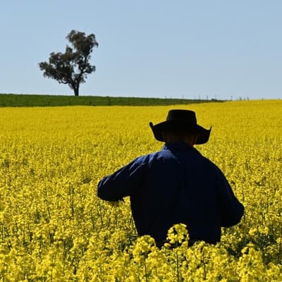 Farming export success sows seeds of growth goal reset