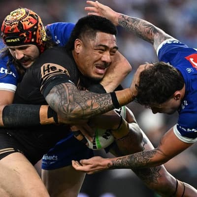 Be like Mike: Tyson clips pump up Panthers enforcer