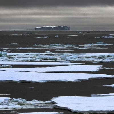 Scientists call foul on Antarctic ice rebound claim