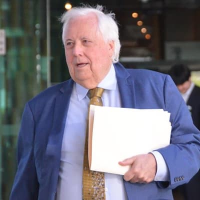 Clive Palmer 'not a foreign investor', must pay $13m